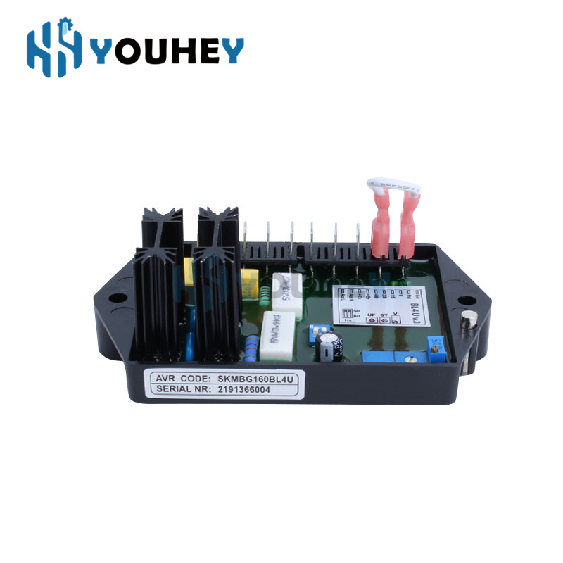 BL4U AVR BL4-U Automatic Volta - Cycloidal Reducer Bldc Motor recension och pris